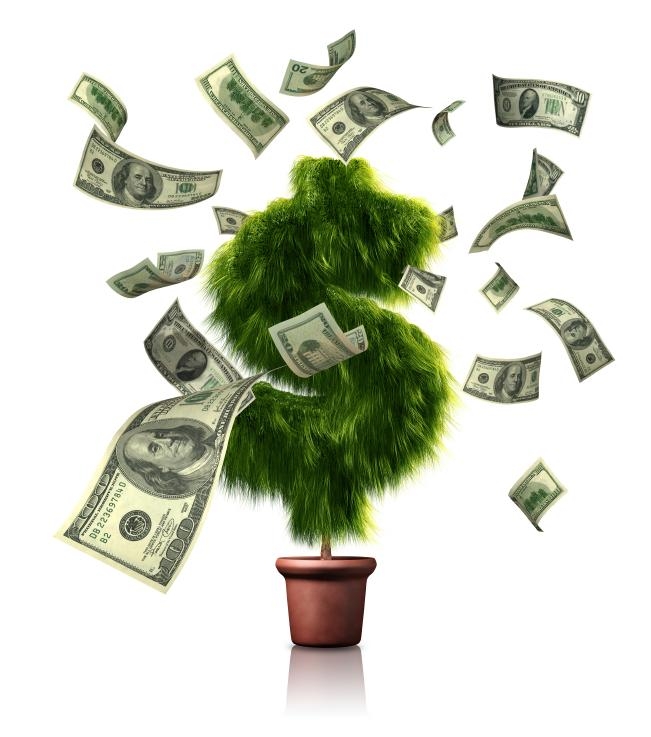 money tree pounds. For us Students, money is